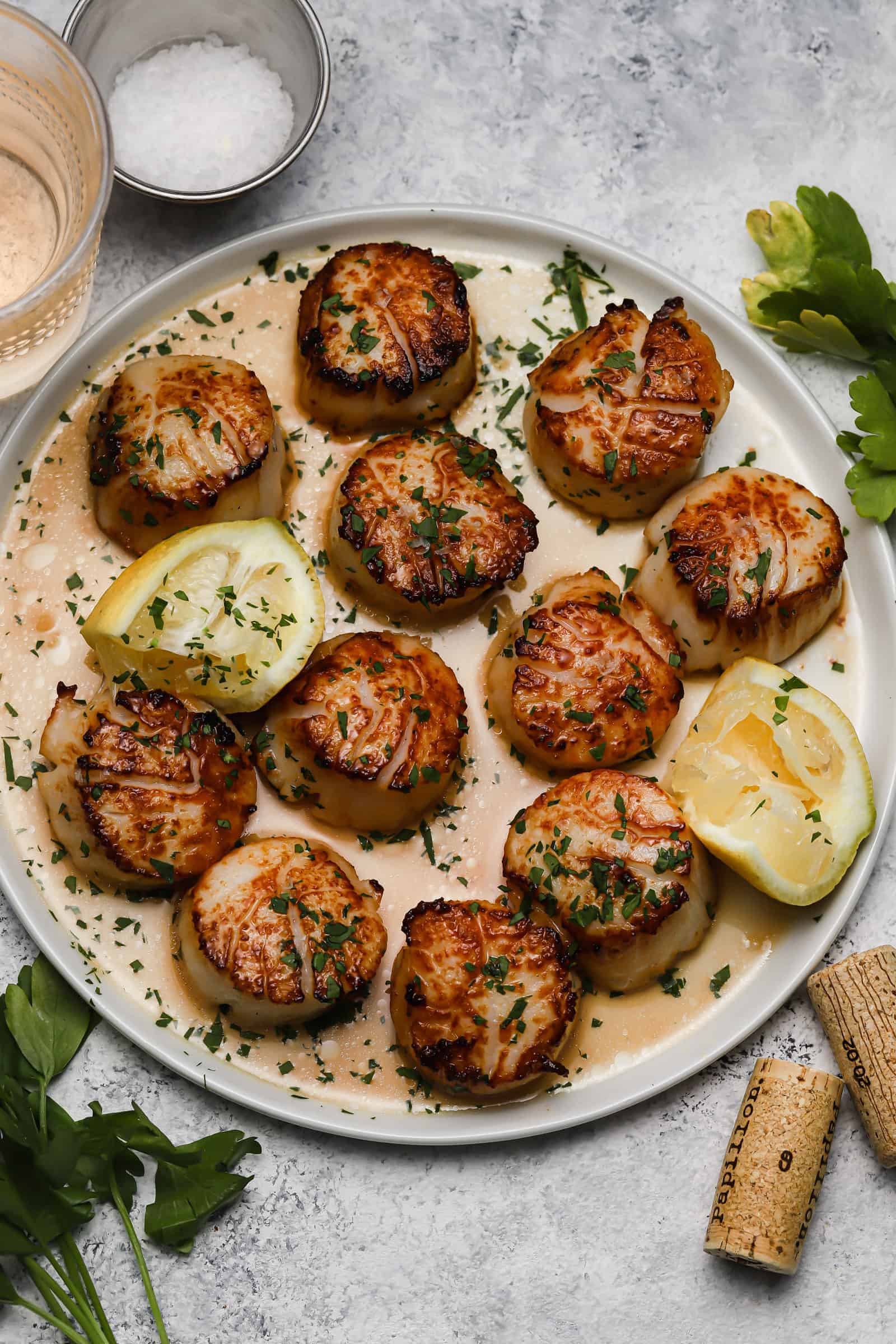 Secrets to Golden Seared Scallops: Pan Heat, Drying & Quality